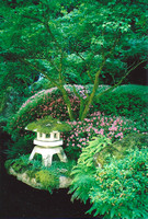 Lush Japanese Garden