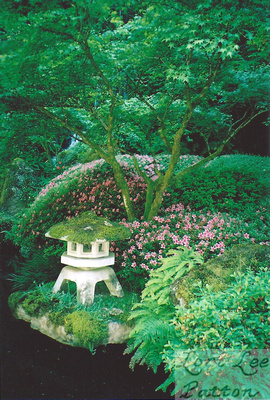 Lush Japanese Garden