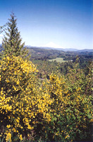 Oregon's Jonsrud Viewpoint