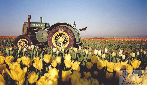 Tractor in Tulip Field