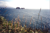 Cape Meares Vista
